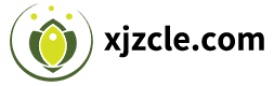 xjzcle.com